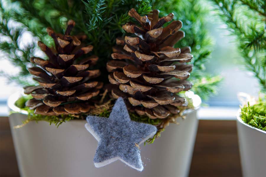 Decoration