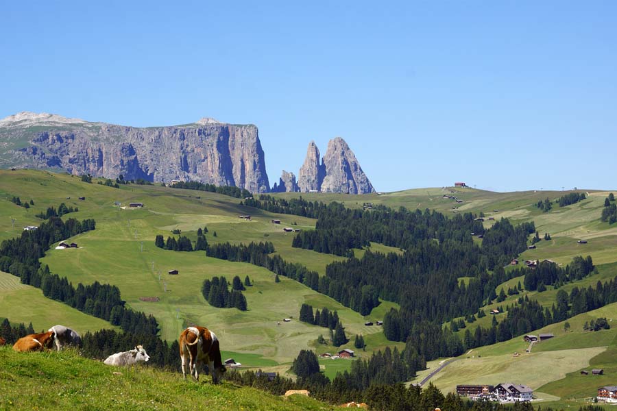 Alpe di Siusi in summer